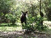 sm_P5067107.JPG