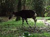 sm_P5067108.JPG