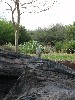 sm_P5067142.JPG