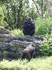 sm_P5067151.JPG