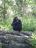sm_P5067153.JPG