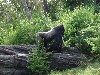 sm_P5067158.JPG