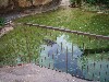 sm_P5067181.JPG