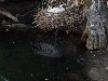 sm_P5067188.JPG