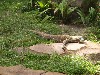 sm_P5073253.JPG