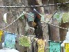 sm_P5073260.JPG