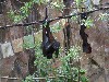 sm_P5073266.JPG