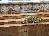 sm_P5073274.JPG
