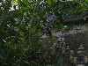 sm_P5073298.JPG
