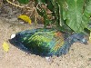 sm_P5073304.JPG