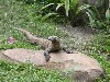 sm_P5073305.JPG
