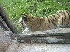 sm_P5073318.JPG