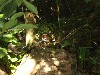 sm_P5073322.JPG