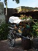 sm_P5073330.JPG