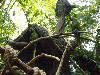 sm_P5073342.JPG