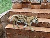 sm_P5077375.JPG