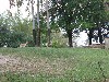sm_P5077383.JPG