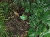 sm_P5077396.JPG