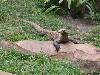 sm_P5077407.JPG