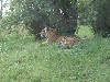 sm_P5077432.JPG