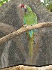 sm_P5077457.JPG