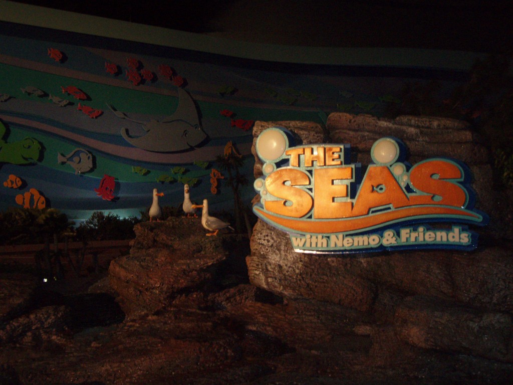 sm_P5046884.JPG