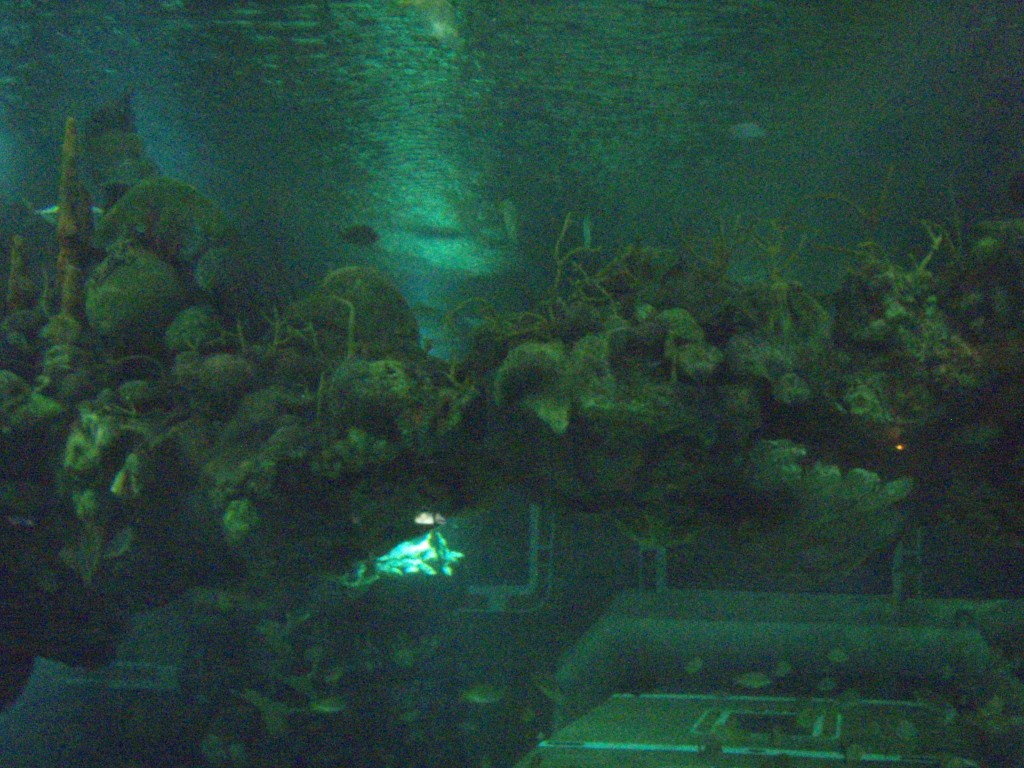 sm_P5052922.JPG