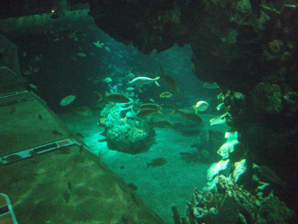 sm_P5056942.JPG
