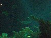 sm_P5046868.JPG