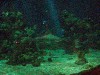 sm_P5046876.JPG