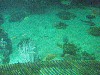 sm_P5052942.JPG