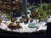 sm_P5052975.JPG