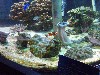 sm_P5052976.JPG