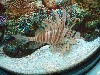 sm_P5056914.JPG