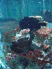 sm_P5056916.JPG