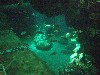 sm_P5056942.JPG
