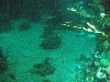 sm_P5056943.JPG