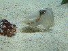 sm_P5056960.JPG