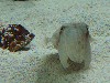 sm_P5056961.JPG