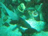 sm_P5087552.JPG