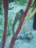 sm_P5087560.JPG