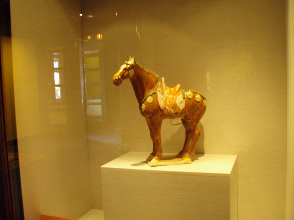 sm_P5042857.JPG