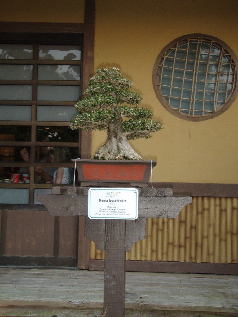 sm_P5097685.JPG