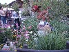 sm_P5032766.JPG