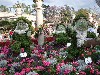 sm_P5036727.JPG