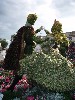 sm_P5036732.JPG