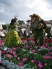 sm_P5036734.JPG