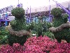 sm_P5036739.JPG