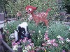 sm_P5036745.JPG