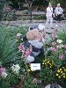 sm_P5036746.JPG